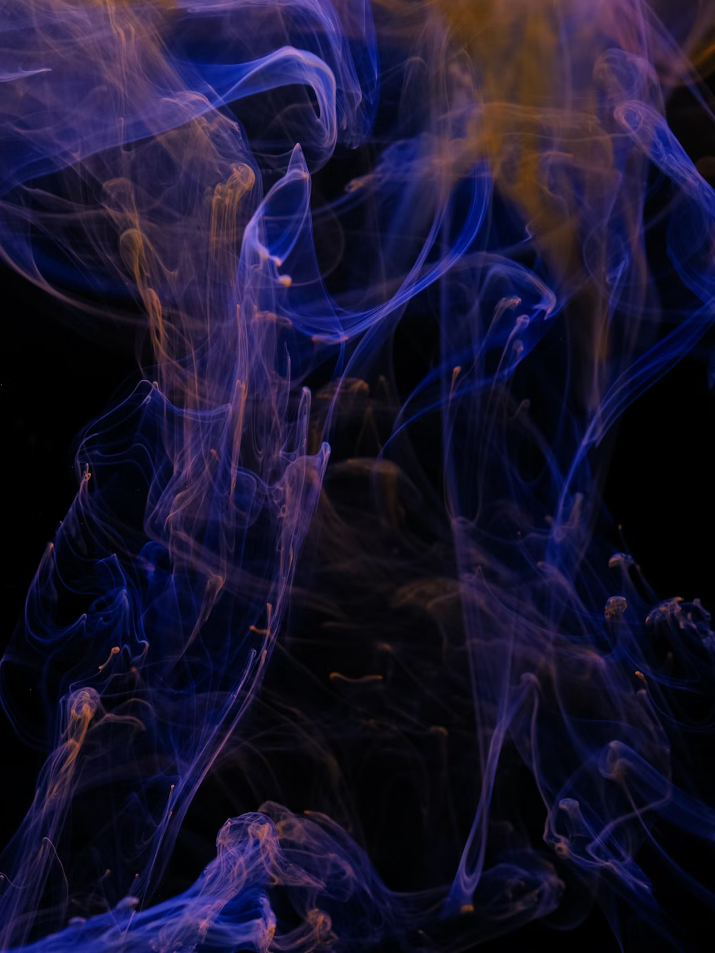 Vibrant collision of red and blue ink drops
